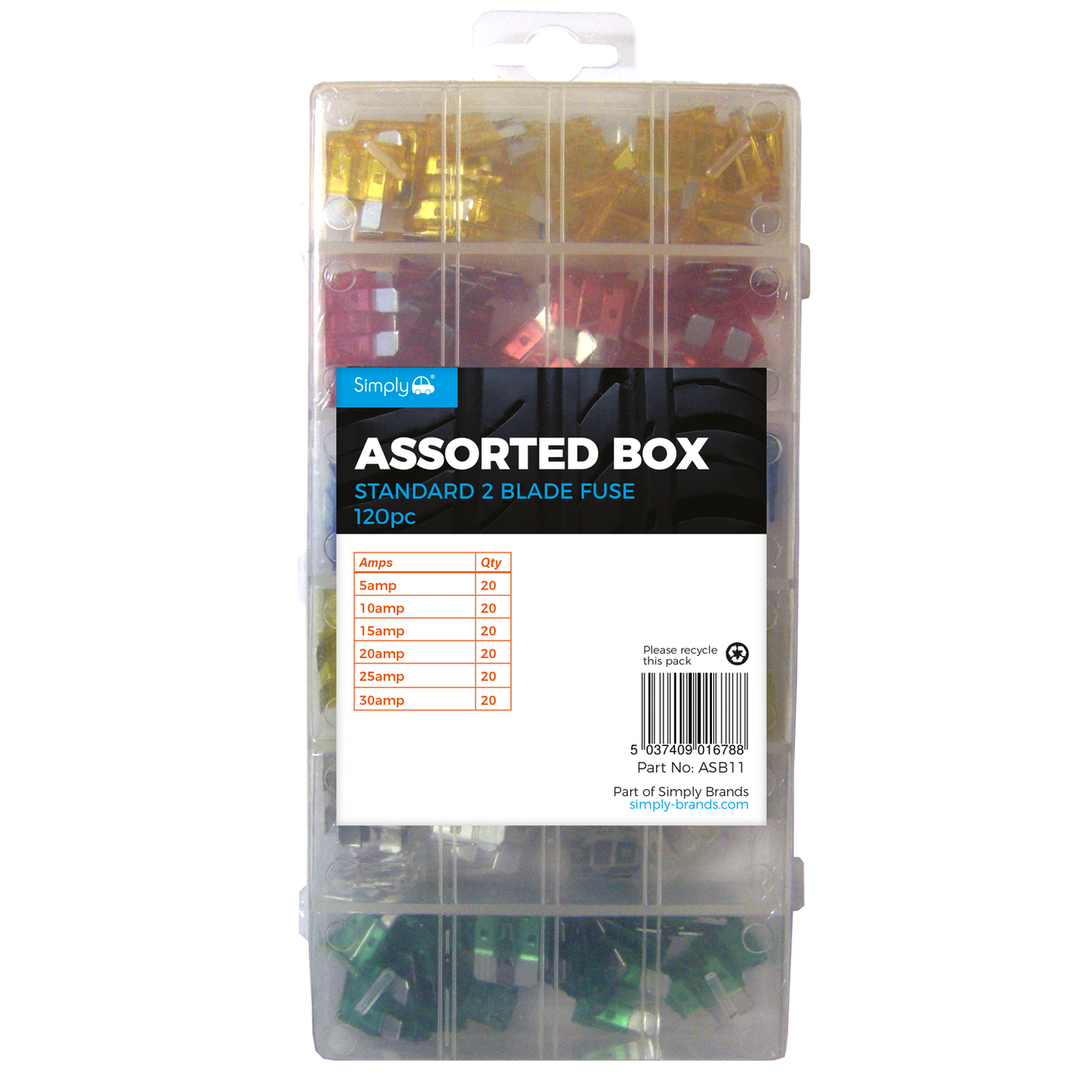Standard Fuse Assortment