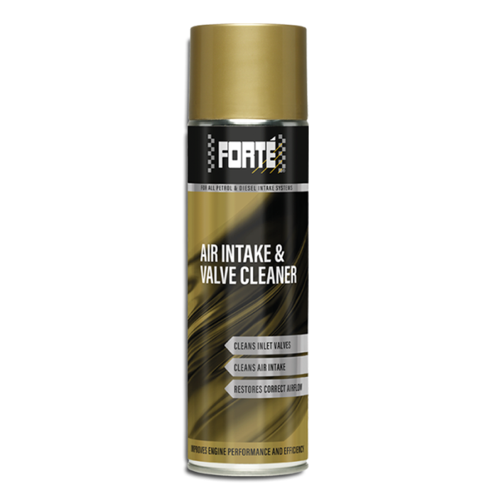 Air Intake & Valve Cleaner