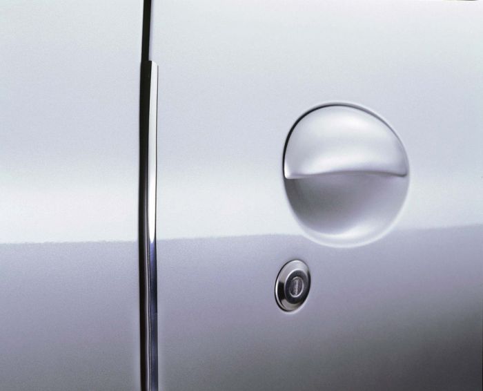Door Guard