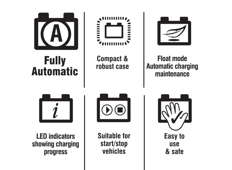 12V LED Automatic Battery Charger
