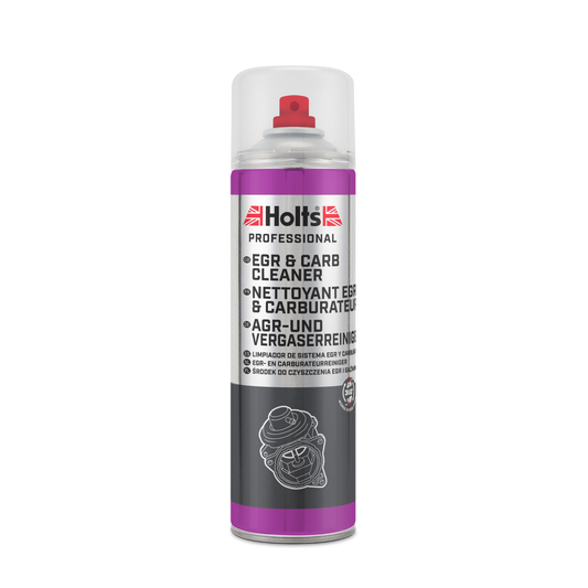 EGR & Carb Cleaner