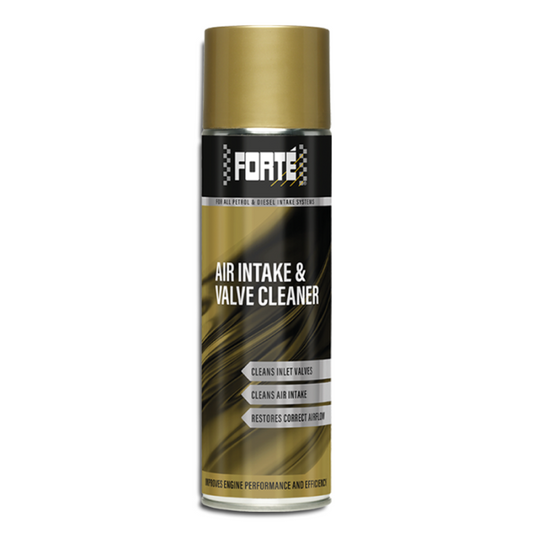 Air Intake & Valve Cleaner