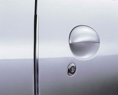 Door Guard
