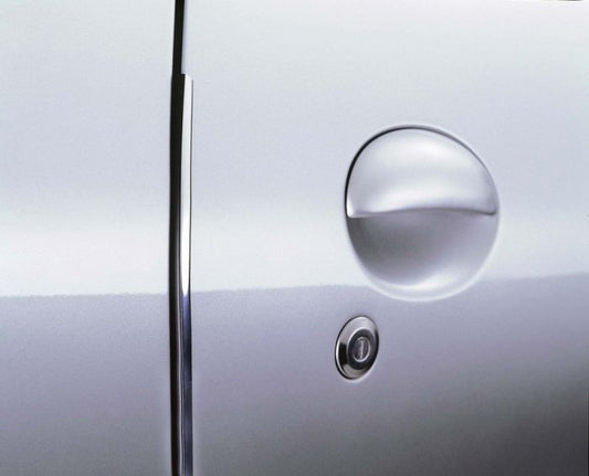 Door Guard