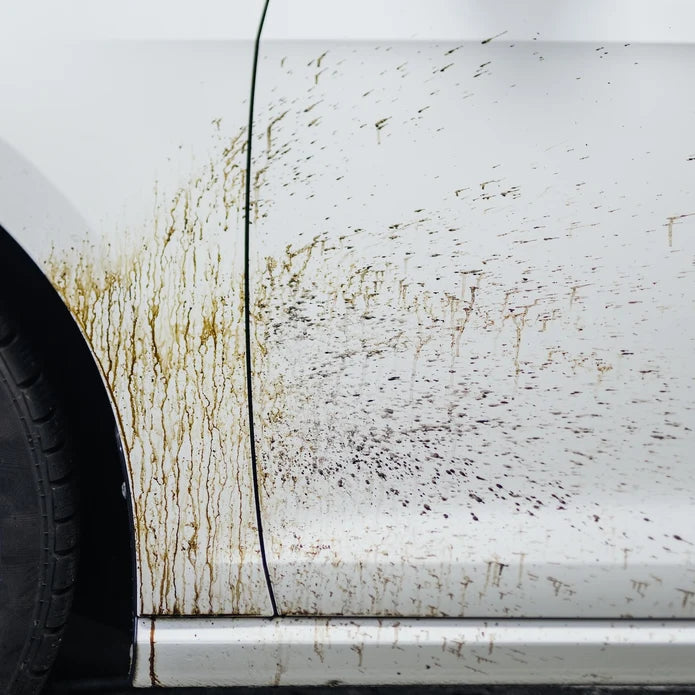 Tea Teerwäsche A